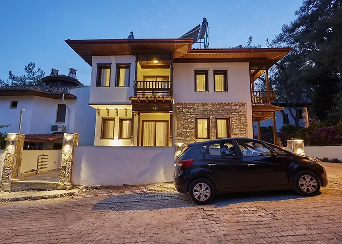 Alp Lavanta Akyaka (Mugla)