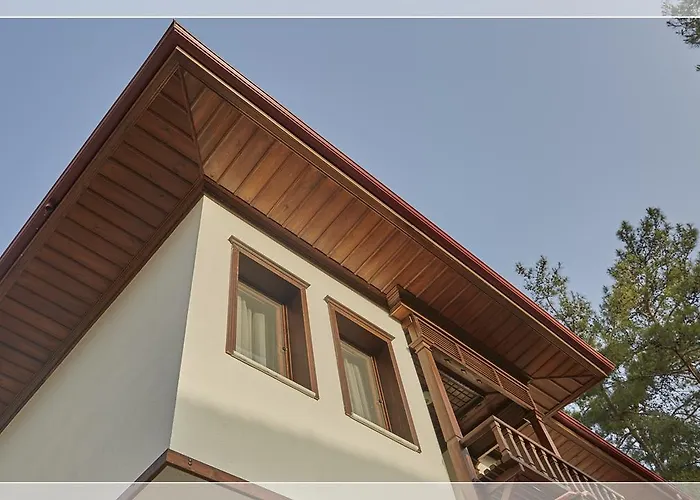 Alp Lavanta * Akyaka (Mugla)